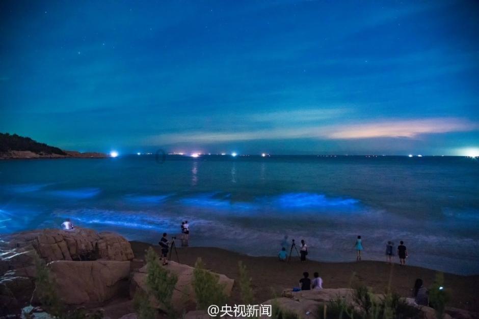 救援老画家